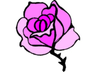 Sticker Custom Preview Image #104709 Plants Flowers Flowers Rose47