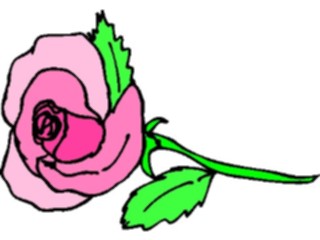 Sticker Custom Preview Image #104711 Plants Flowers Flowers Rose49
