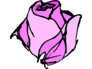 Sticker Custom Preview Image #104712 Plants Flowers Flowers Rose50