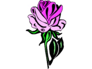 Sticker Custom Preview Image #104716 Plants Flowers Flowers Rose54