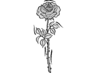 Sticker Custom Preview Image #104723 Plants Flowers Flowers Rose61