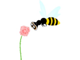 Sticker Custom Preview Image #104724 Plants Flowers Flowers Rose62