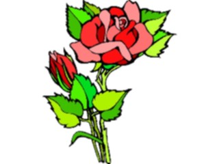 Sticker Custom Preview Image #104727 Plants Flowers Flowers Rose65