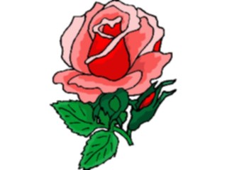 Sticker Custom Preview Image #104736 Plants Flowers Flowers Rose74