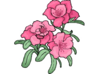 Sticker Custom Preview Image #104742 Plants Flowers Flowers Rose80