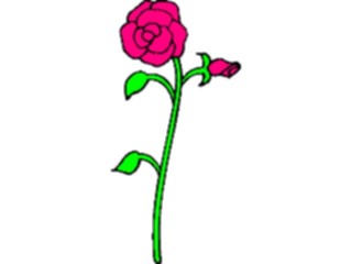 Sticker Custom Preview Image #104745 Plants Flowers Flowers Rose83