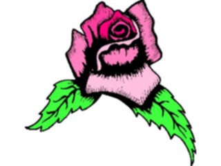 Sticker Custom Preview Image #104747 Plants Flowers Flowers Rose85