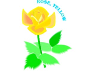 Sticker Custom Preview Image #104775 Plants Flowers Flowers Rose Yellow