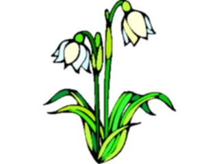 Sticker Custom Preview Image #104819 Plants Flowers Flowers Snowdrop3