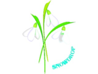 Sticker Custom Preview Image #104820 Plants Flowers Flowers Snowdrop4
