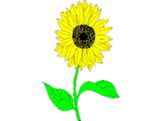 Sticker Custom Preview Image #104827 Plants Flowers Flowers Sunflower1