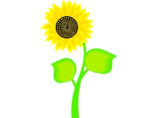 Sticker Custom Preview Image #104830 Plants Flowers Flowers Sunflower4