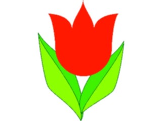 Sticker Custom Preview Image #104845 Plants Flowers Flowers Tulip06