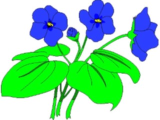 Sticker Custom Preview Image #104879 Plants Flowers Flowers Violets1
