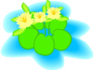 Sticker Custom Preview Image #104882 Plants Flowers Flowers Water Lily1