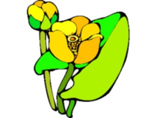 Sticker Custom Preview Image #104885 Plants Flowers Flowers Water Lily4