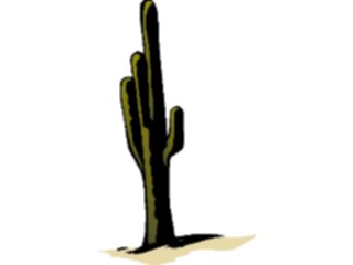 Sticker Custom Preview Image #104973 Plants Flowers General Cactus26