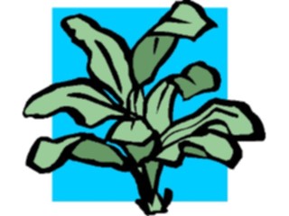 Sticker Custom Preview Image #105209 Plants Flowers Plants Plant001