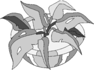 Sticker Custom Preview Image #105255 Plants Flowers Plants Plant047