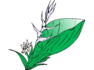 Sticker Custom Preview Image #105257 Plants Flowers Plants Plant049