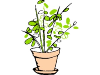 Sticker Custom Preview Image #105261 Plants Flowers Plants Plant053