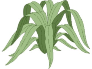 Sticker Custom Preview Image #105266 Plants Flowers Plants Plant058