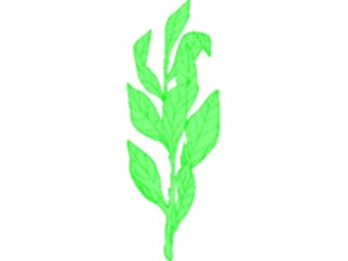 Sticker Custom Preview Image #105270 Plants Flowers Plants Plant062