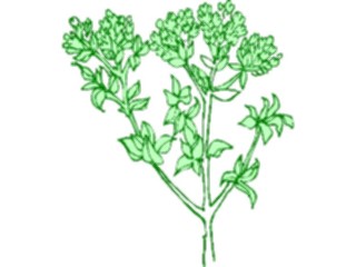 Sticker Custom Preview Image #105271 Plants Flowers Plants Plant063