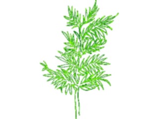 Sticker Custom Preview Image #105273 Plants Flowers Plants Plant065