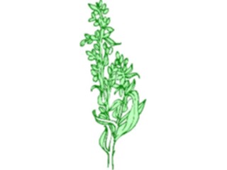 Sticker Custom Preview Image #105274 Plants Flowers Plants Plant066