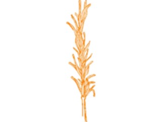 Sticker Custom Preview Image #105276 Plants Flowers Plants Plant068