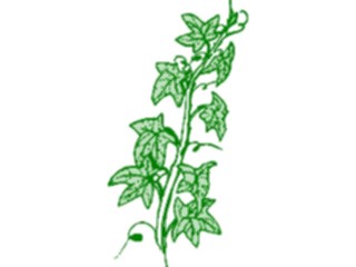 Sticker Custom Preview Image #105277 Plants Flowers Plants Plant069