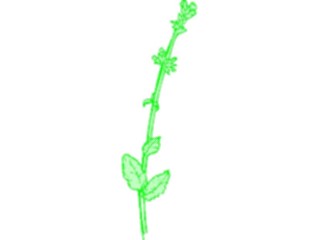 Sticker Custom Preview Image #105279 Plants Flowers Plants Plant071