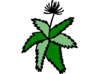 Sticker Custom Preview Image #105280 Plants Flowers Plants Plant072