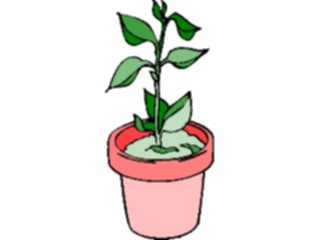 Sticker Custom Preview Image #105290 Plants Flowers Plants Plant082