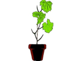 Sticker Custom Preview Image #105292 Plants Flowers Plants Plant084