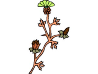 Sticker Custom Preview Image #105313 Plants Flowers Plants Plant105