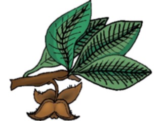 Sticker Custom Preview Image #105329 Plants Flowers Plants Plant121