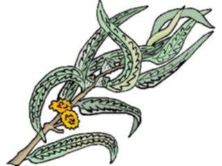 Sticker Custom Preview Image #105331 Plants Flowers Plants Plant123