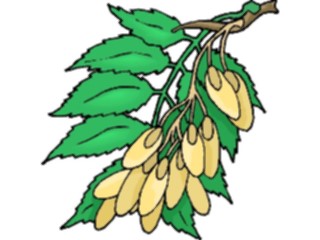 Sticker Custom Preview Image #105334 Plants Flowers Plants Plant126