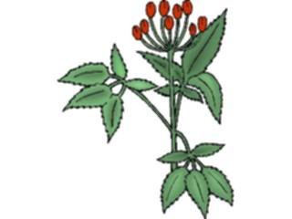 Sticker Custom Preview Image #105335 Plants Flowers Plants Plant127