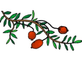Sticker Custom Preview Image #105336 Plants Flowers Plants Plant128