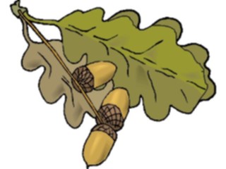 Sticker Custom Preview Image #105337 Plants Flowers Plants Plant129