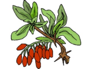 Sticker Custom Preview Image #105339 Plants Flowers Plants Plant131