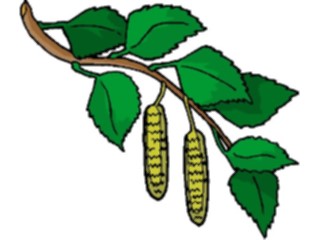 Sticker Custom Preview Image #105340 Plants Flowers Plants Plant132