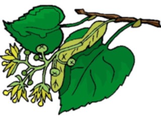 Sticker Custom Preview Image #105341 Plants Flowers Plants Plant133