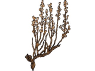 Sticker Custom Preview Image #105343 Plants Flowers Plants Plant135