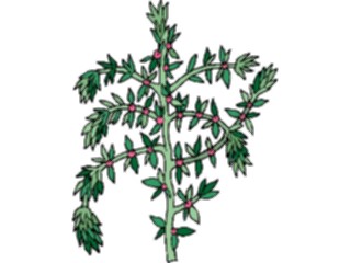 Sticker Custom Preview Image #105344 Plants Flowers Plants Plant136