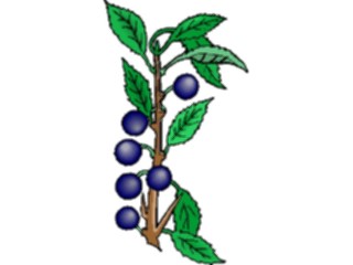 Sticker Custom Preview Image #105345 Plants Flowers Plants Plant137