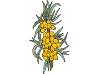 Sticker Custom Preview Image #105346 Plants Flowers Plants Plant138